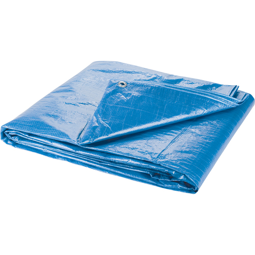 Tarp, Standard Duty, Blue, 20' x 18' x 4 mils