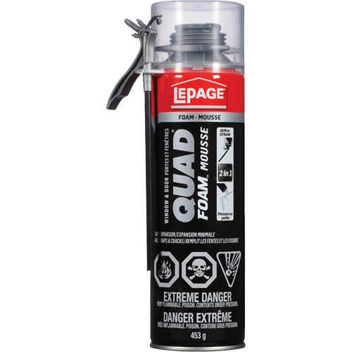 Lepage 1880791 Quad Foam Window & Door Installation Foam, Aerosol Can, Tan-(Can)