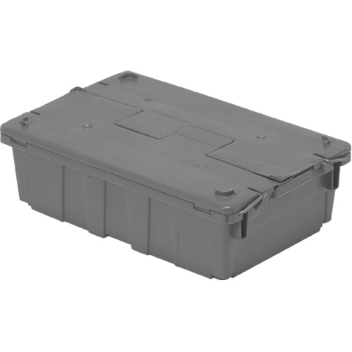 Orbis 5879403 Flipak® Polyethylene Plastic (PE) Distribution Containers Flipak<sup>®</sup> Polyethylene Plastic (PE) Distribution Containers, 20.6" x 13.5" x 6.5", Grey - Each
