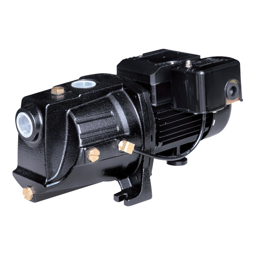 LEO Dual Voltage Cast Iron Shallow Well Jet Pump  (Each)-Click on options for variations & Details.