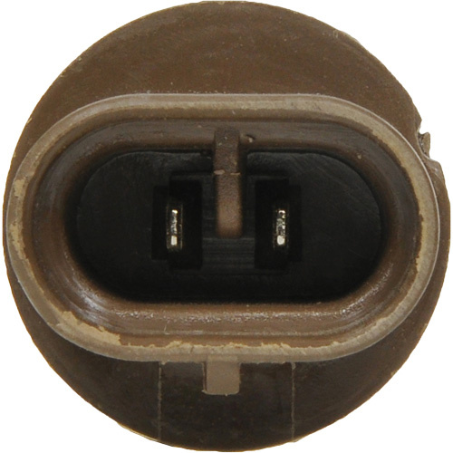 Sylvania 31579 893 Basic Fog Light Bulb 893 Basic Fog Light Bulb, Halogen, 37.5 W, Off White - Each - Image 3