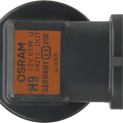 Sylvania 38751 64213 Basic Automotive Bulb 64213 Basic Automotive Bulb, Halogen, 70 W, Off White - Box of 10