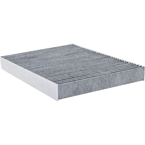 Baldwin Filters PA10067 PA10067 Cabin Air Filter-(Each)