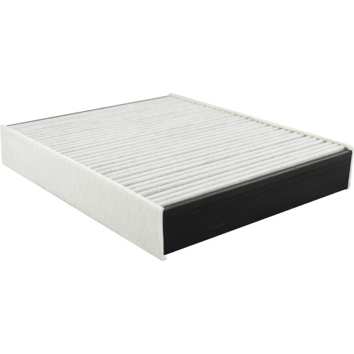 Baldwin Filters PA10134 PA10134 Cabin Air Filter-(Each)