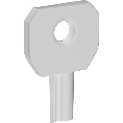 Purell 7749-18 Lock or Not™ Dispenser Key Lock or Not™ Dispenser Key - Each