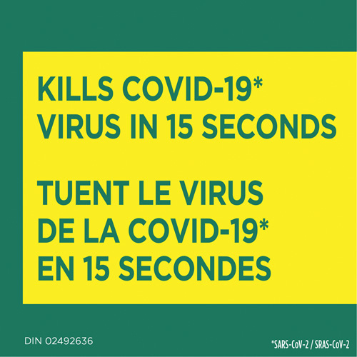 Clorox 55500011698 Disinfecting Wipes, 75 Count-(Each)