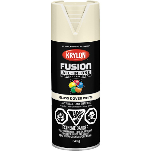 Krylon Industrial Fusion All-In-One™ Paint  (Can)-Click on options for variations & Details.