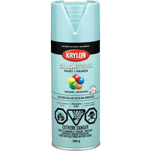 Krylon Industrial COLORmaxx™ Paint + Primer  (Can)-Click on options for variations & Details.