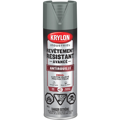 Krylon Industrial Tough Coat® Advanced Paint with Rust Barrier™ Technology  (Can)-Click on options for variations & Details.