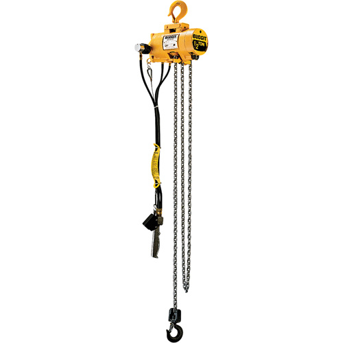 Budgit 2211 Budgit® Air Chain Hoists Budgit<sup>®</sup> Air Chain Hoists - Each