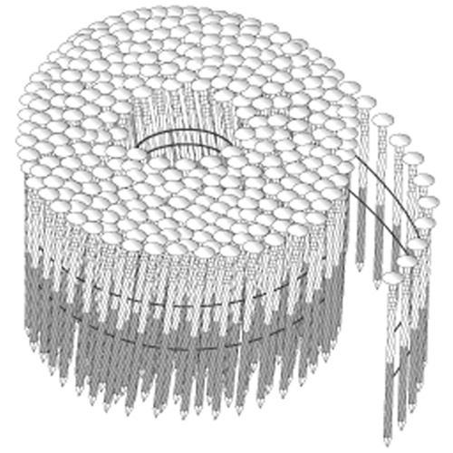 Duchesne 80093201369 15° Coil Nails - Wire Collated-(Each)