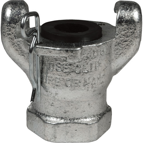 Dixon Group AM13 Air King End, Iron, 1", Female NPT, 150 PSI-(Each)