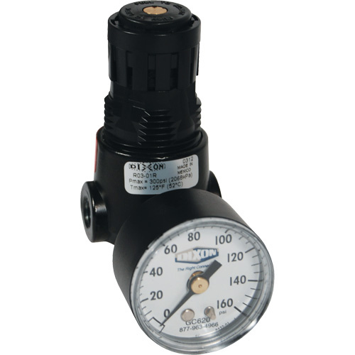 Dixon Group R03-02RG Wilkerson Miniature Regulator R04 Wilkerson Miniature Regulator R04, 1/4" NPT, 300 psi Max. PSI, Standard - Each