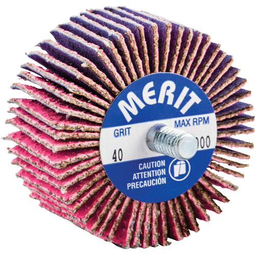 Norton Threaded Mini Flap Wheel  (Each)-Click on options for variations & Details.