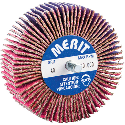 Norton Threaded Mini Flap Wheel  (Each)-Click on options for variations & Details.
