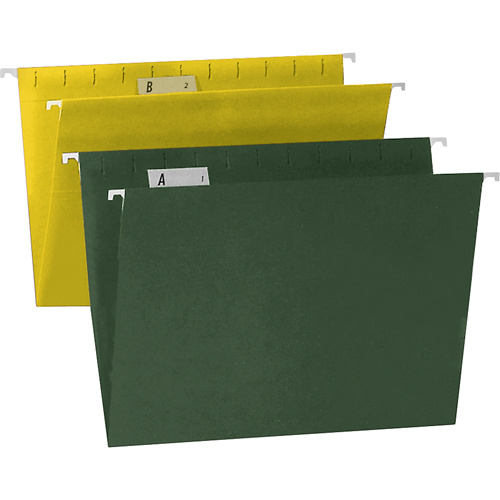 Esselte 486845 Reversaflex Hanging File Folder - Letter Size-(Pack of 25)