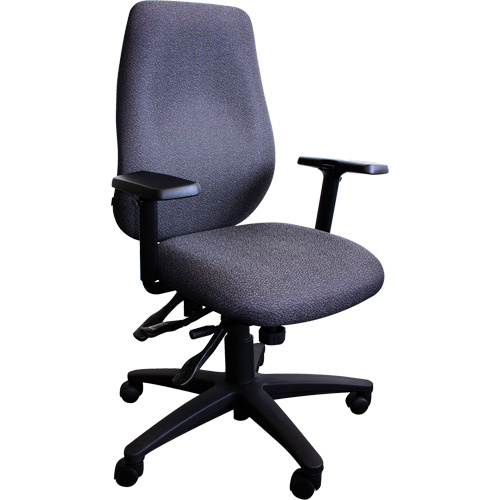 Horizon Seating P660-03-AAT-PX901 Cierra™ Petite Series Ergonomic Chairs Cierra™ Petite Series Ergonomic Chairs, Fabric, Black, 275 lbs. Capacity - Each