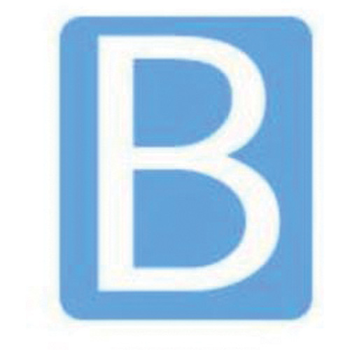 Brady 5210P-B Quick-Align® Individual Gothic Number and Letter Labels Quick-Align<sup>®</sup> Individual Gothic Number and Letter Labels, B, 6" H, White - Pack of 10