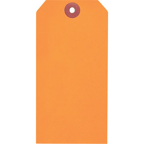 Coloured Blank Tags, Paper, 2-3/8" W x 4-3/4" H-(Box of 1000)