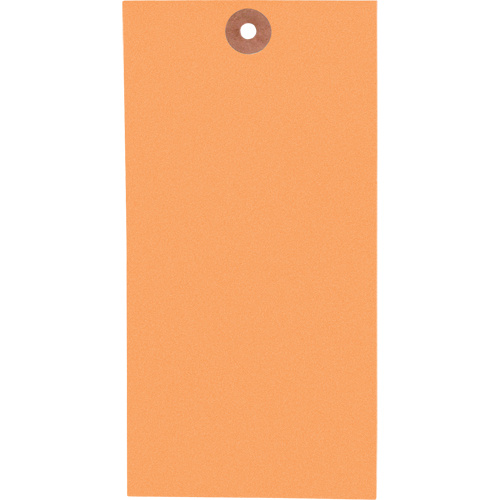 Coloured Blank Tags, Tyvek, 3-1/8" W x 6-1/4" H-(Box of 1000)