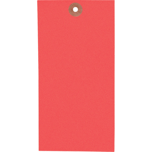 Coloured Blank Tags, Tyvek, 3-1/8" W x 6-1/4" H-(Box of 1000)