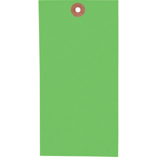 Coloured Blank Tags, Tyvek, 3-1/8" W x 6-1/4" H-(Box of 1000)