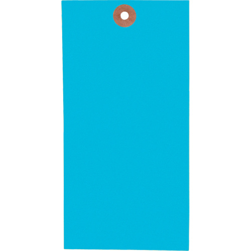 Coloured Blank Tags, Tyvek, 3-1/8" W x 6-1/4" H-(Box of 1000)