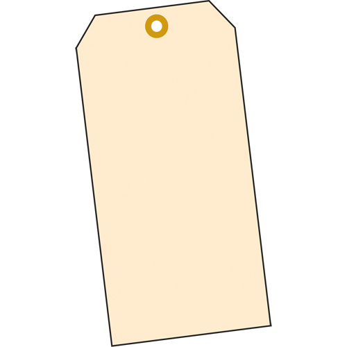Accuform Signs TBB111P Manila Blank Tags, Cardstock, 1-3/8" W x 2-3/4" H-(Pack of 100)