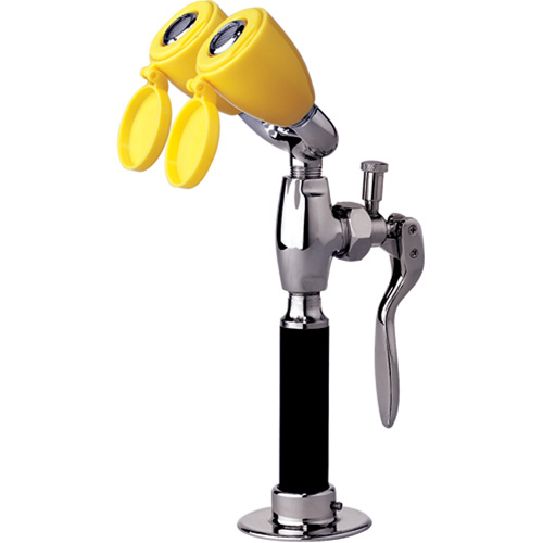 Speakman SE-927 Drench Hose & Eyewash Drench Hose & Eyewash, Counter-Mount Installation - Each