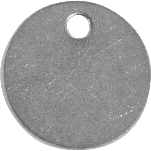 C.H. Hanson 41843 Blank Tags, Stainless Steel, 1.25" dia-(Pack of 100)