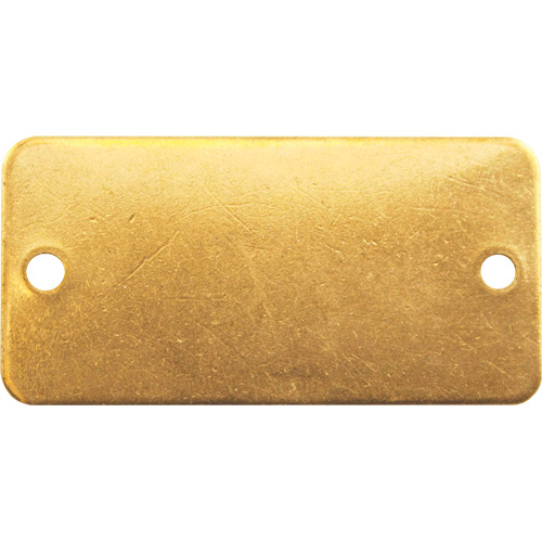C.H. Hanson 41272 Blank Tags, Brass, 2" W x 1" H-(Pack of 100)