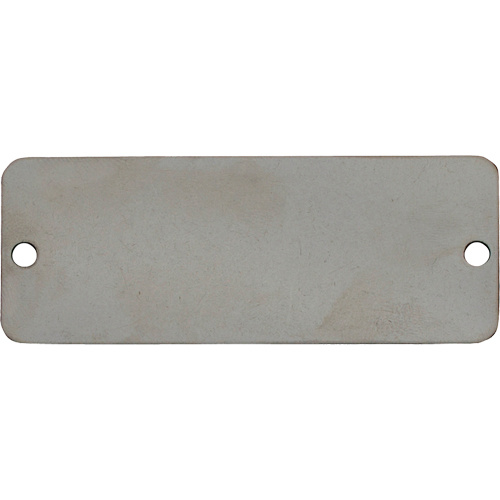 C.H. Hanson 41273 Blank Tags, Stainless Steel, 2" W x 1" H-(Pack of 100)