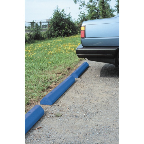 Plastic Recycling 6CS-BL Car Stops Car Stops, Plastic, 6' L, Blue - Each
