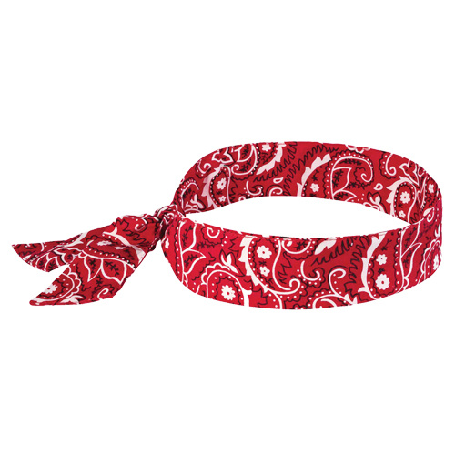 Ergodyne 12305 Chill-Its® 6700 Cooling Bandanas Chill-Its<sup>®</sup> 6700 Cooling Bandanas, Red