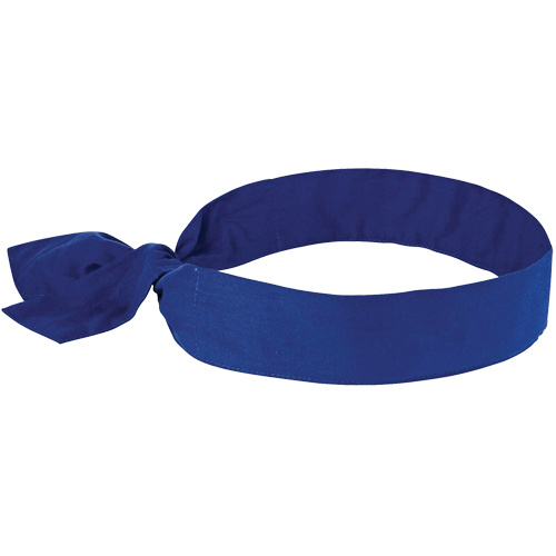 Ergodyne 12307 Chill-its® 6700 Cooling Bandanas Chill-its<sup>®</sup> 6700 Cooling Bandanas, Blue