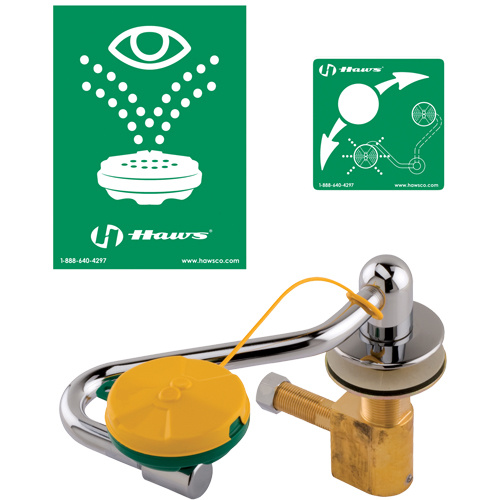 Haws 7611 Eye/Face Wash Station Eye/Face Wash Station, Sink Mount Installation - Each