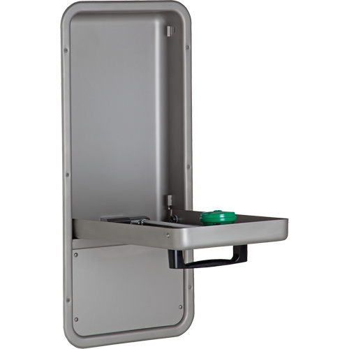 Haws 7656WCC Eye/Face Wash Station Eye/Face Wash Station, Wall-Mount Installation, Stainless Steel Bowl - Each