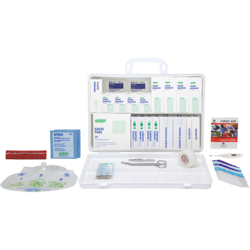 Safecross 50550 Daycare Kit - Quebec Specialty Kits Daycare Kit - Quebec Specialty Kits, Class 1 Medical Device, Plastic Box - Each