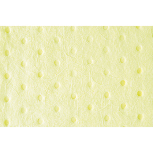 Zenith Safety Products Premium Bonded Sorbent Pads  (Pack of 100)-Click on options for variations & Details.