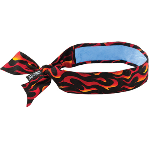 Ergodyne 12568 Chill-Its® 6700CT Cooling Bandanas Chill-Its<sup>®</sup> 6700CT Cooling Bandanas, Multi-Colour - Each