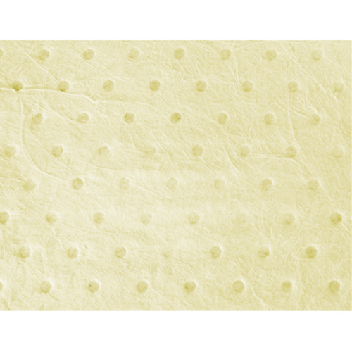 Zenith Safety Products Industrial-Grade Fine Fibre Sorbent Pads  (Pack of 100)-Click on options for variations & Details.