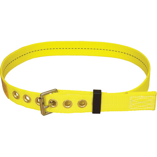 3M DBI Sala Fall Protection  1000052  Delta? Tongue -Buckle Belt - Each