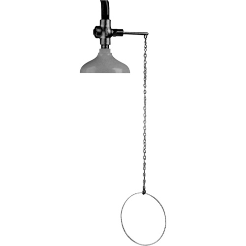 Speakman  SE-220  Lifesaver<sup>?</sup> Emergency Overhead Showers, Ceiling-Mount - Each