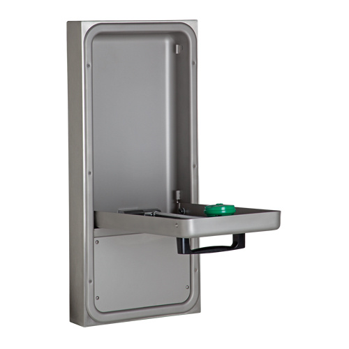 Haws  7656WCSM  Eye/Face Wash Station, Wall-Mount Installation - Each