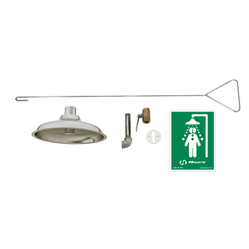 Haws 8163 Concealed Drench Shower, Ceiling-Mount-(Each)