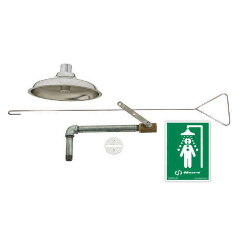 Haws 8169 Drench Shower, Ceiling-Mount-(Each)