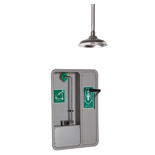 Haws 8355WCC Eye/Face Wash and Shower, Ceiling-Mount-(Each)