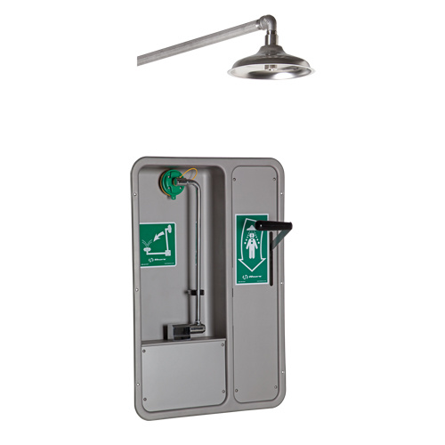 Haws 8355WCW ADA Eye/Face Wash and Shower, Ceiling-Mount-(Each)