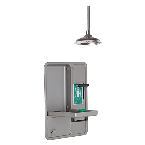 Haws 8356WCDD Eye/Face Wash and Shower, Ceiling-Mount-(Each)