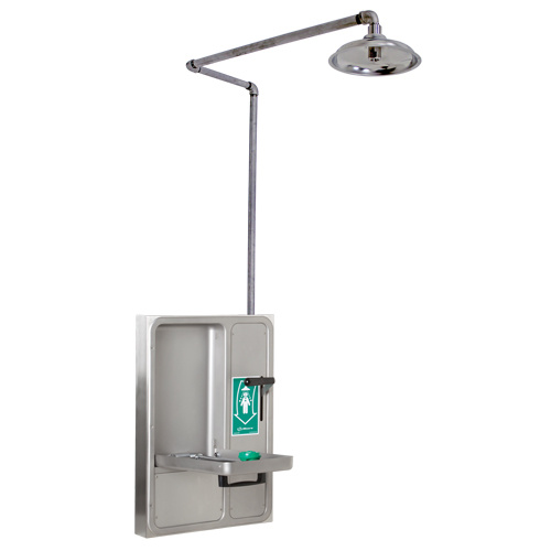 Haws 8356WCSM Eye/Face Wash and Shower, Ceiling-Mount-(Each)